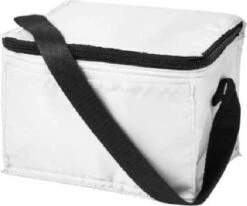 Koeltas - Mini Koeltas - Geschikt Voor 6 Blikjes - Compact Koeltas + 2 Koelelementen - Rheme -Campingwinkels 1200x1001 2