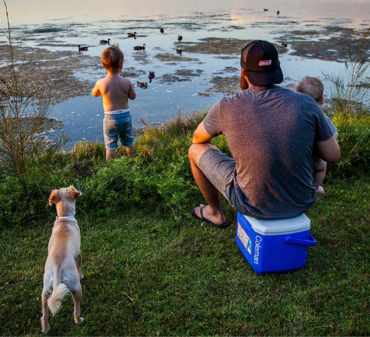 Coleman 16QT Performance Tricolor Koelbox - 15L - Blauw/Grijs 3 Coleman 16QT Performance Tricolor Koelbox - 15L - Blauw/Grijs - Image 3