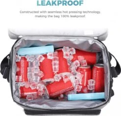 Lifewit 20L Koeltas | 20 Liter | Opvouwbaar | Koelbox-Koeltas | Isolatietas/ Picknicktas Voor Levensmiddelen / Grijs -Campingwinkels 1200x1153 9