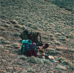 LOWLAND OUTDOOR® Donzen Slaapzak - Super Compact Blanket - 210 X 80 Cm - 590gr +8°C -Campingwinkels 1200x1196 11