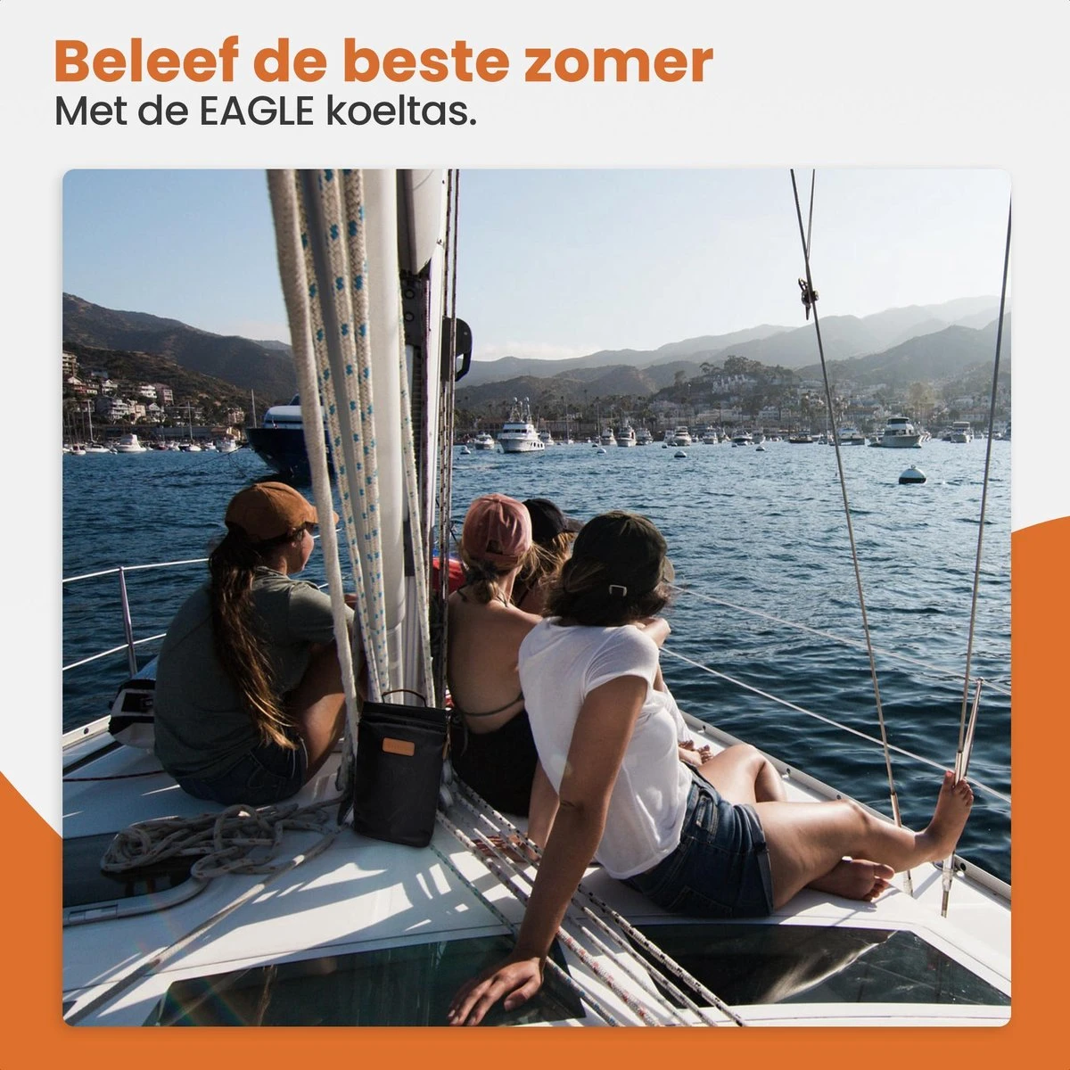 Eagle Koeltas - Compacte Koeltas - Stoffen Tas - Strandtas - Mini Koelbox 7 Eagle Koeltas - Compacte Koeltas - Stoffen Tas - Strandtas - Mini Koelbox - Image 7