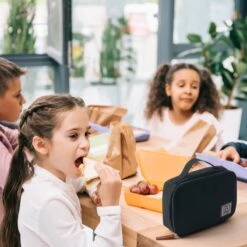 Brisby 4 Laags Geïsoleerde Koeltas - Lunchtas 1.5 Liter - Zwart 11 Brisby 4 Laags Geïsoleerde Koeltas - Lunchtas 1.5 Liter - Zwart -Campingwinkels 1200x1200 1624