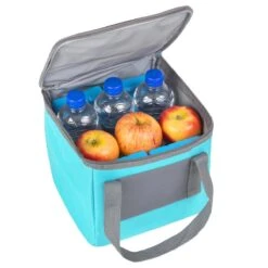 Basis Sterke Koeltas Set - 25 + 10 Liter - Lunchtas - Geïsoleerde Koeltassen - Picknicktas - Coolerbag - Blauw -Campingwinkels 1200x1200 1746