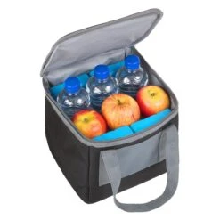 Basis Sterke Koeltas Set - 25 + 10 Liter - Lunchtas - Geïsoleerde Koeltassen - Picknicktas - Coolerbag - Zwart -Campingwinkels 1200x1200 1760