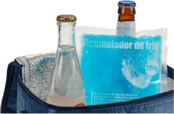 Arte R Koelelementen/icepacks - Herbruikbaar - 15 X 13 X 2 Cm -Campingwinkels 1200x789 7