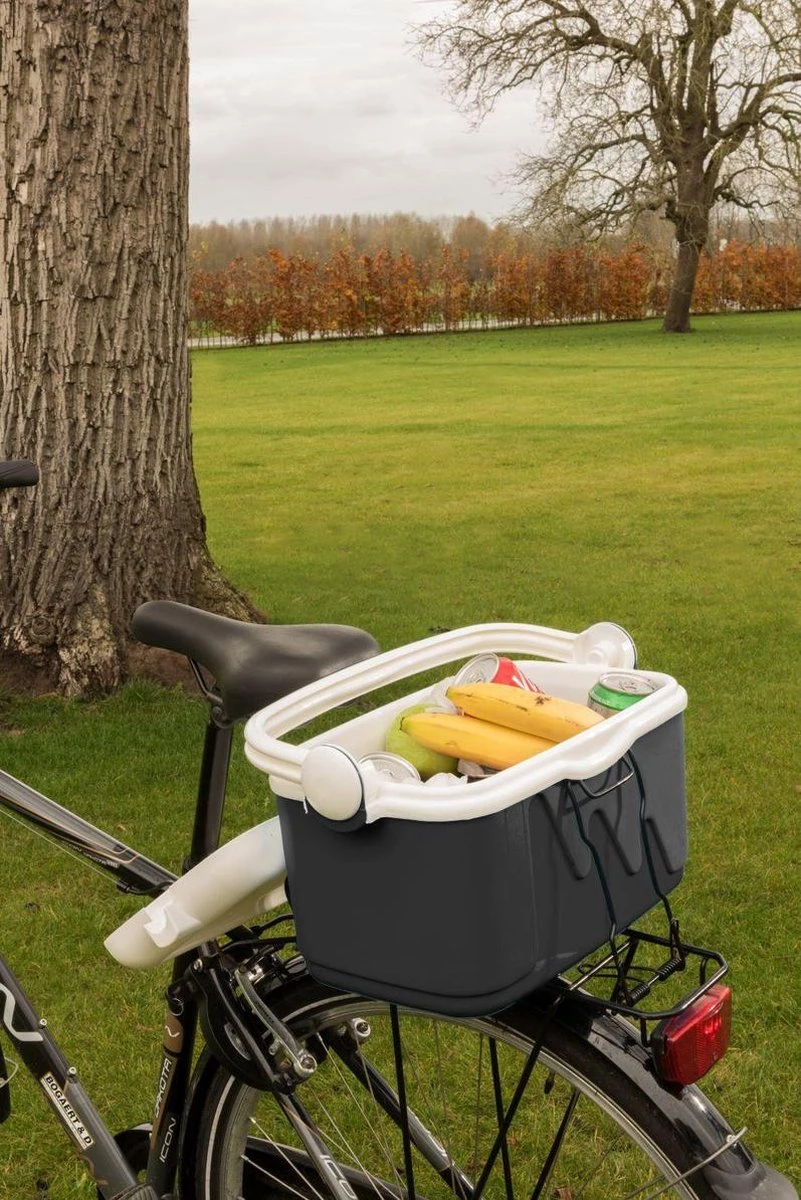 Curver Koelbox - 10L - Grijs 2 Curver Koelbox - 10L - Grijs - Image 2